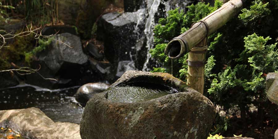 Read more about the article Irrigation Systems in Garden Design